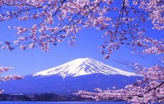 日本翻譯導游水平低，中文不過關