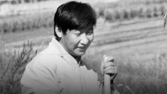 合肥優質翻譯公司，安徽優質翻譯公司，安徽建筑類優秀翻譯公司